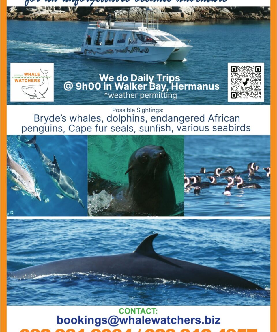 A5 Marine Wildlife boat trips