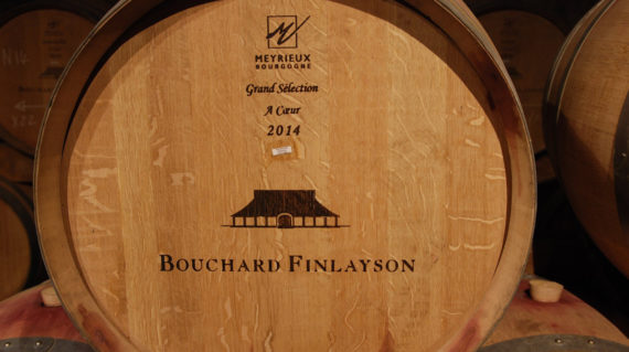 Bouchard Finlayson