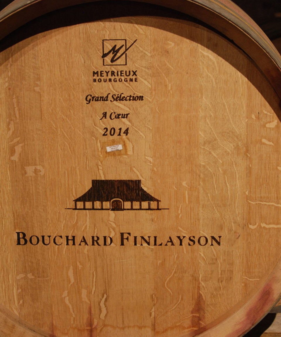 Bouchard Finlayson