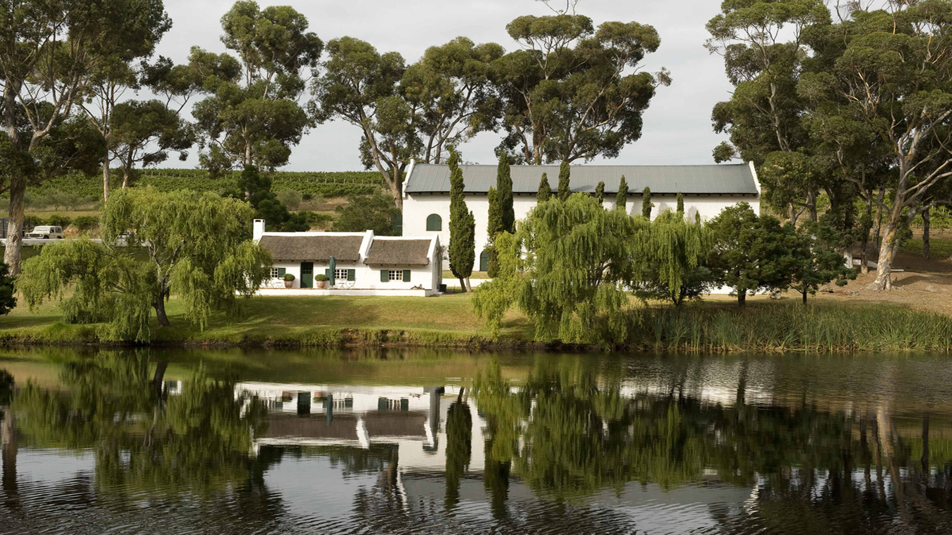 Hamilton Russell Vineyards Hermanus Tourism
