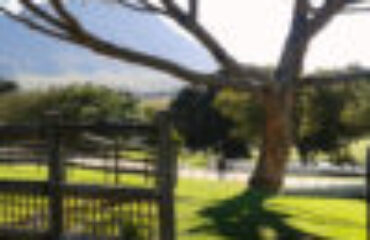 High-Season-Farm_3-100x100