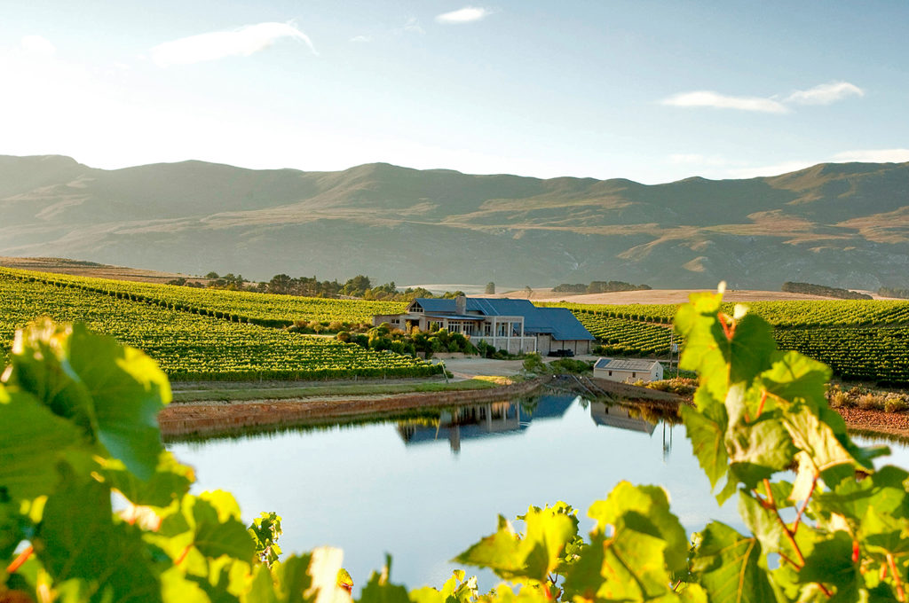 Country/Wine Farms Hermanus Tourism