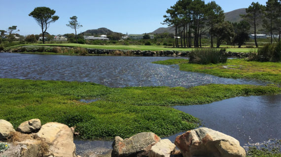 Hermanus Golf Club