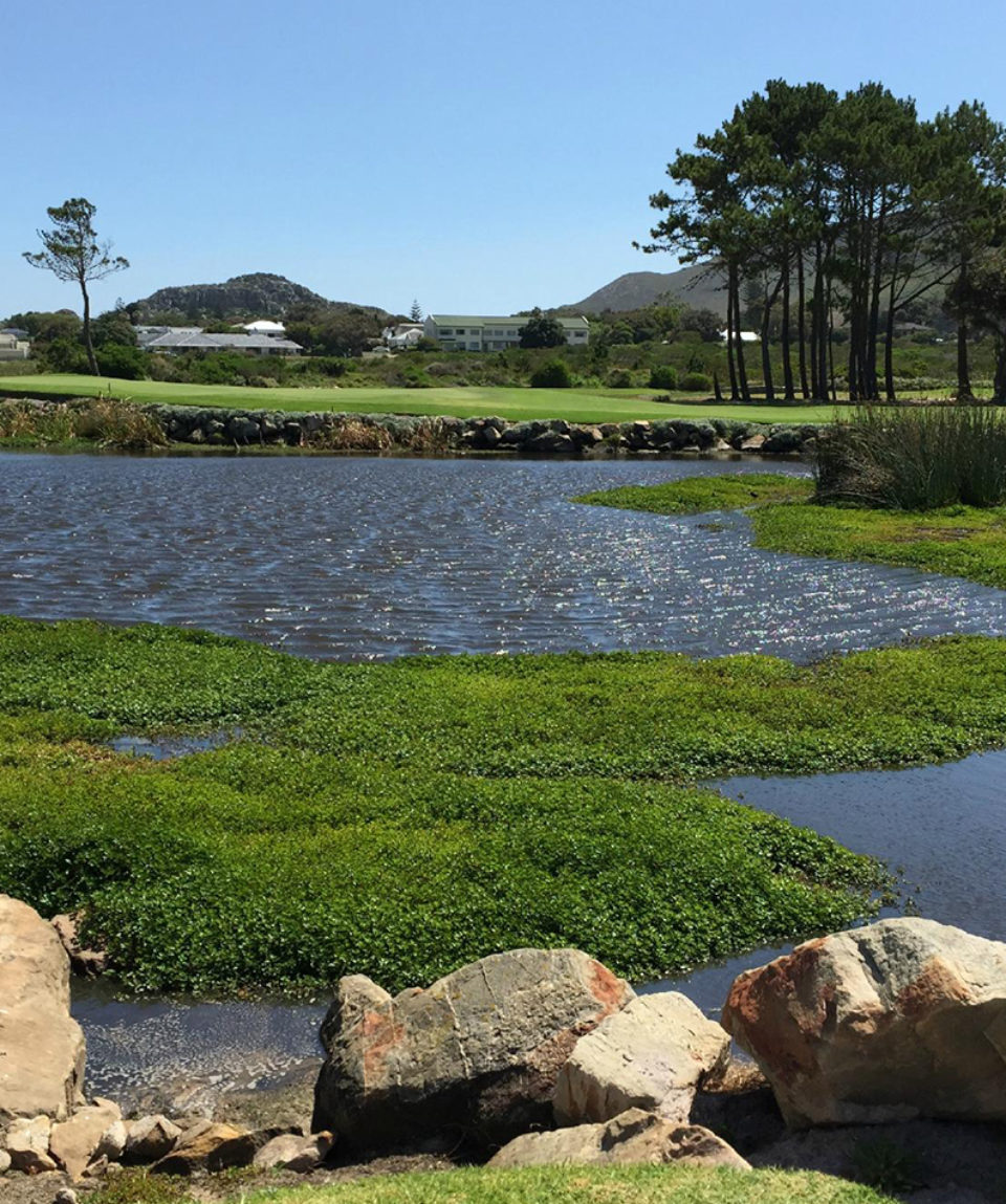 Hermanus Golf Club