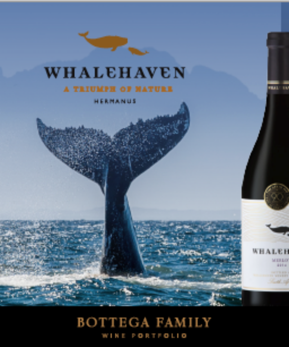 whale haven