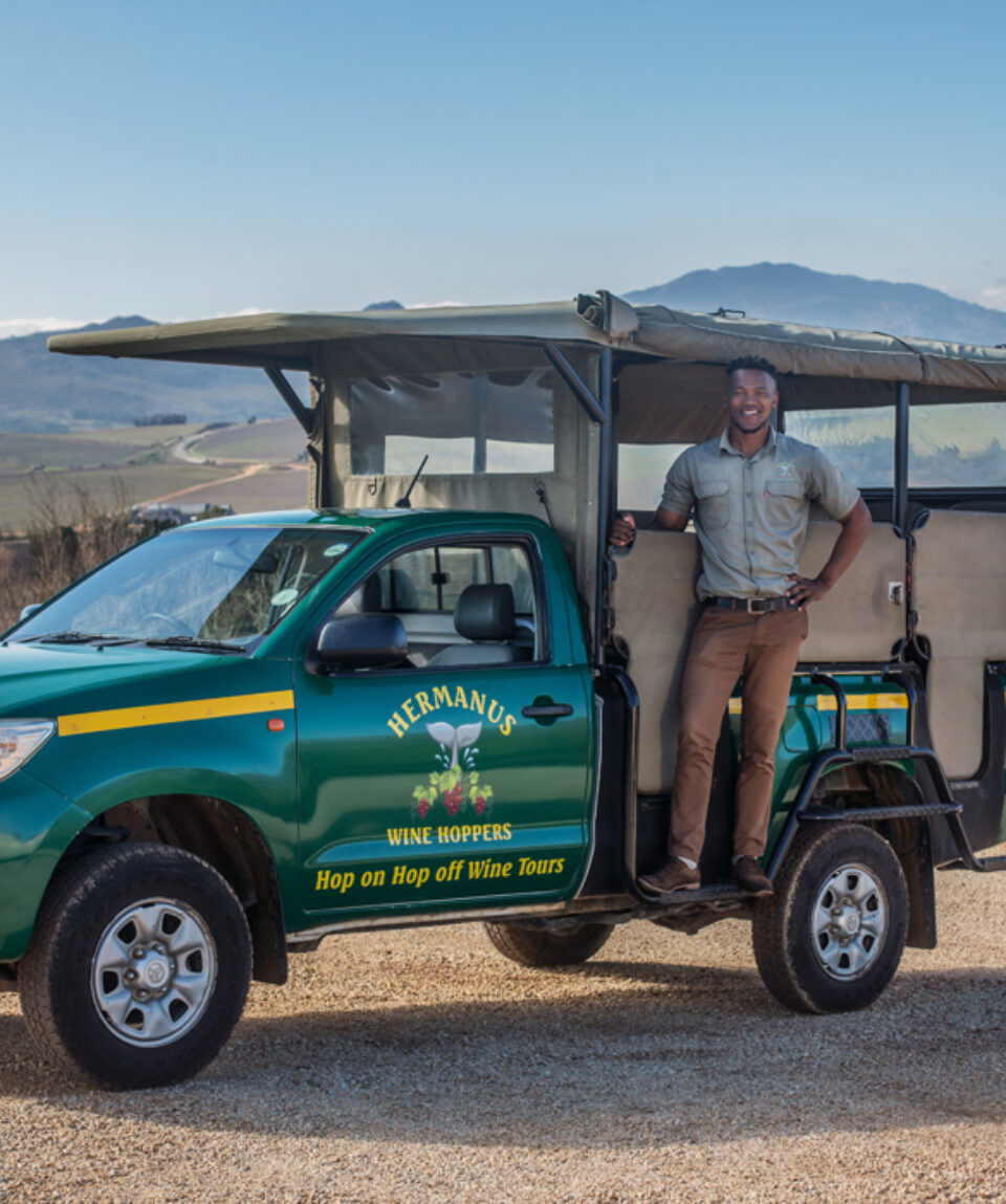 Hermanus Wine Hopper 1