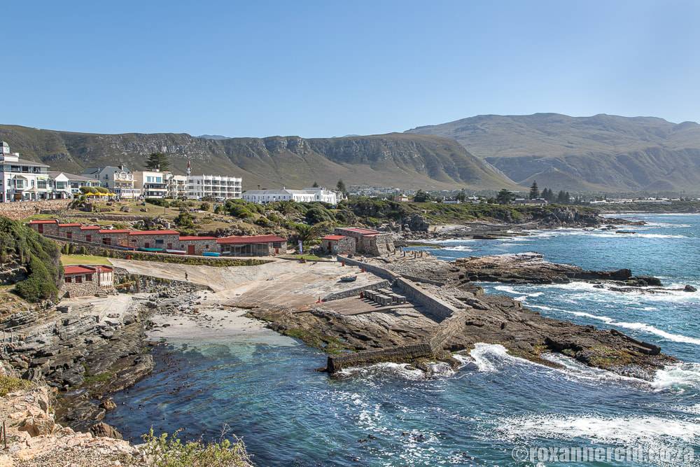 17 things to do in Hermanus on the Cape Whale Coast | Hermanus Tourism