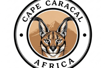 caracal3