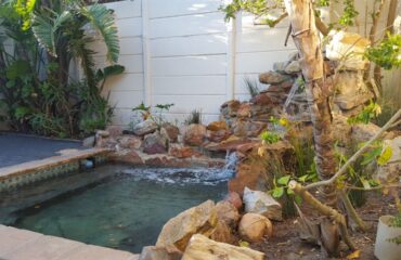 Rock Pool